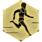 challenge badge
