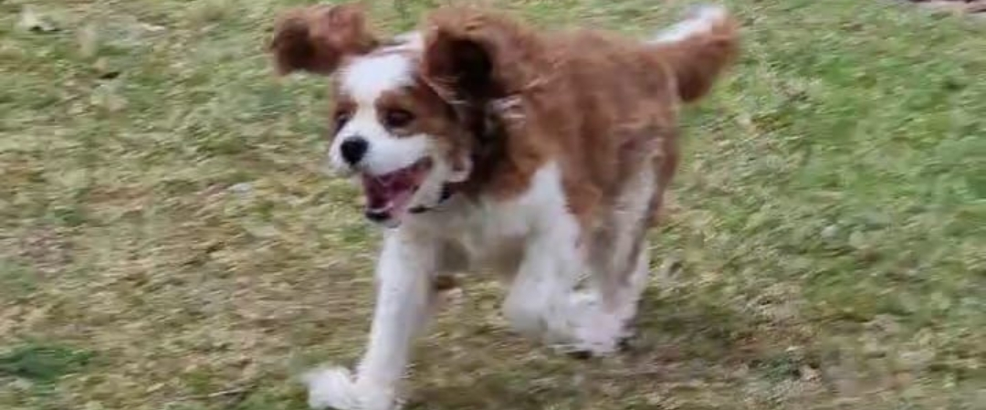 challenge background