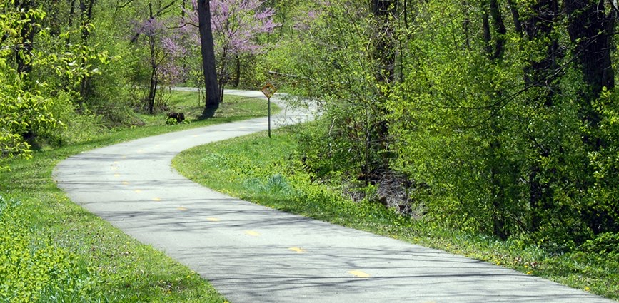 challenge background