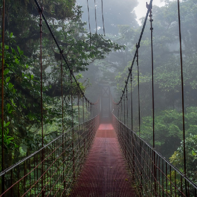 Costa Rica Cloud Forest Hike icon