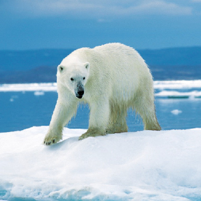 North Pole Icetrek icon