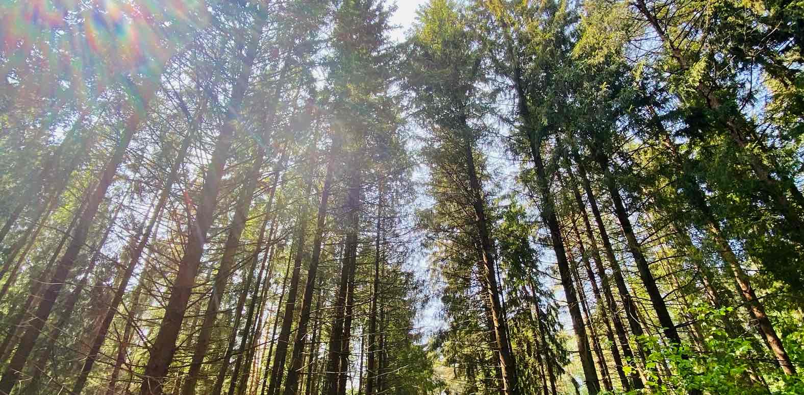 challenge background