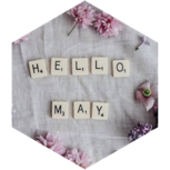 May Steps Competition (20k daily) icon