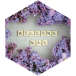 May Steps Competition (100k daily) icon