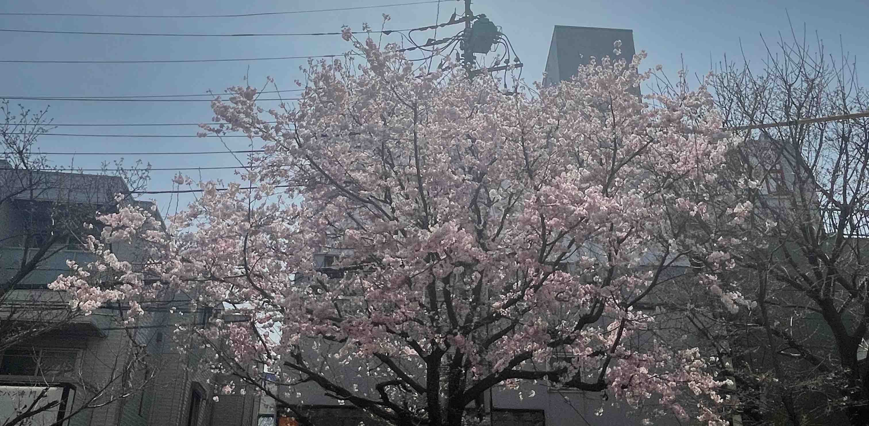 challenge background