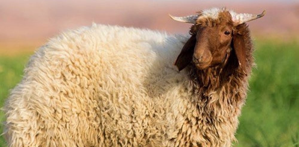 challenge background