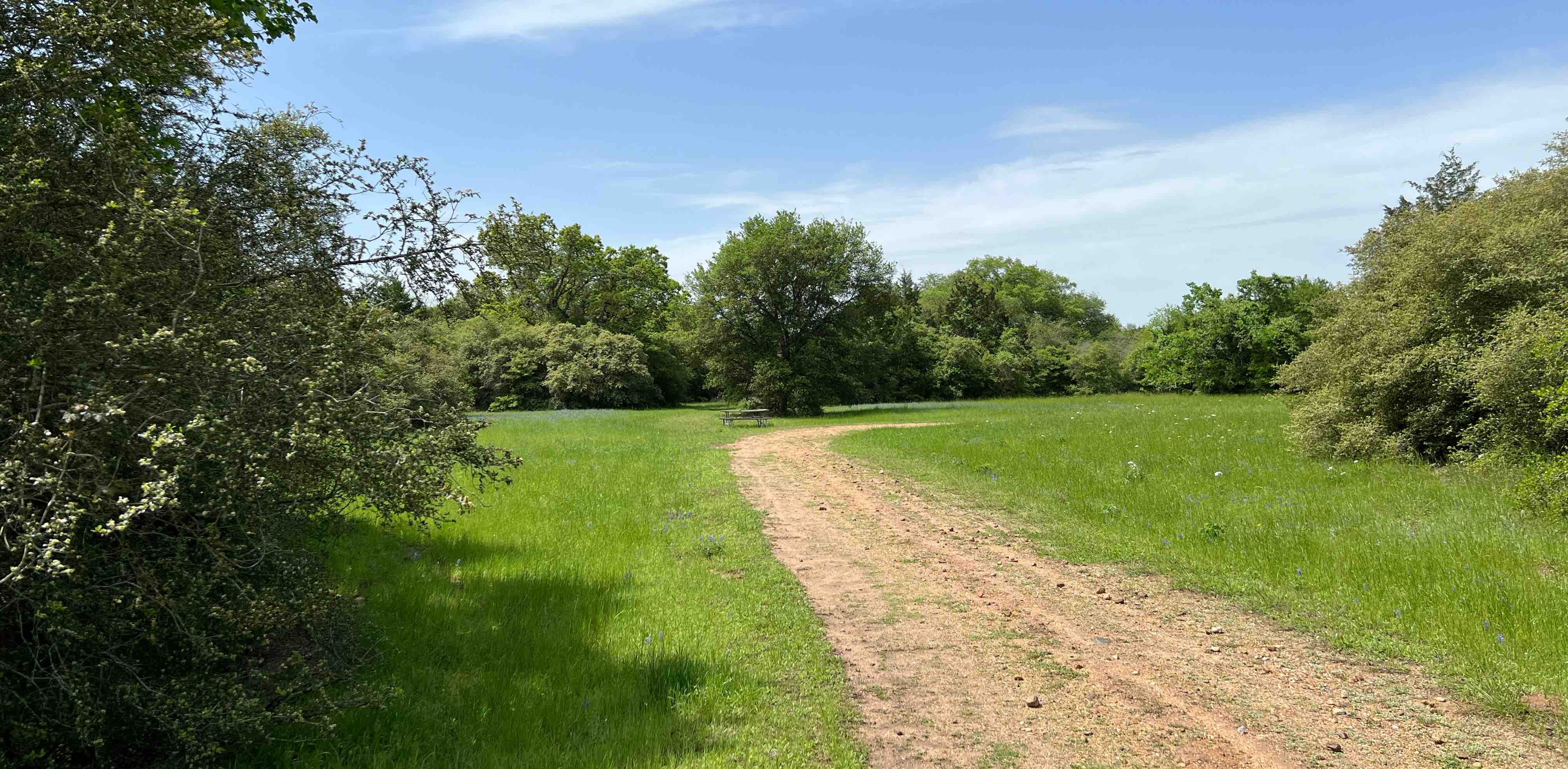 challenge background