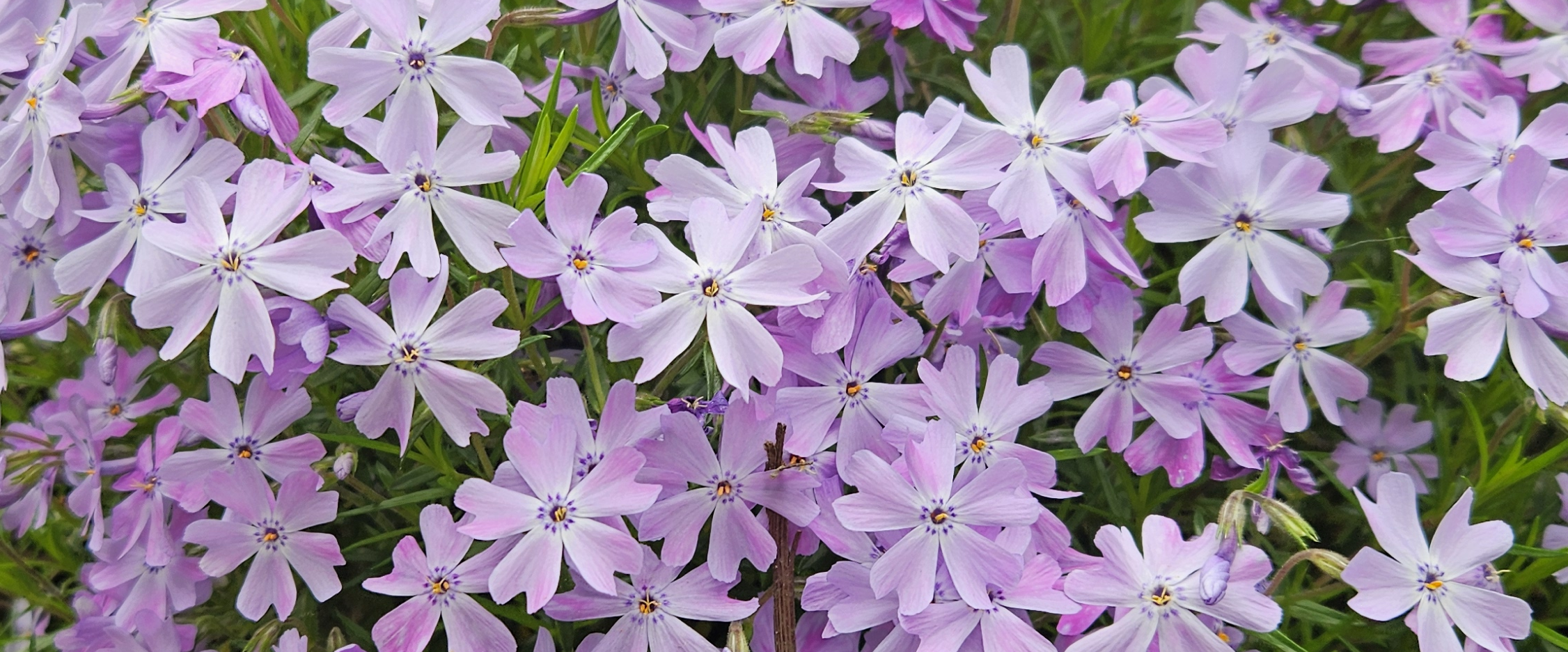 challenge background