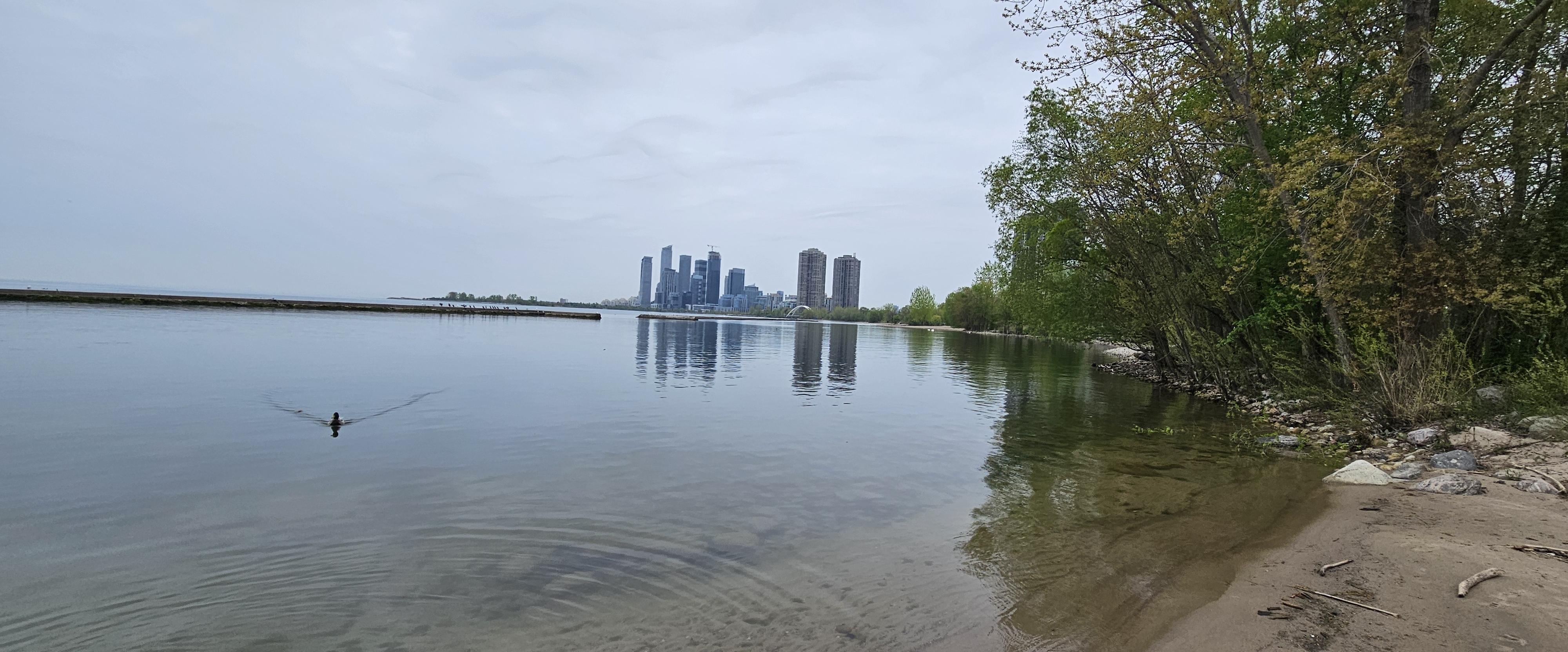 challenge background