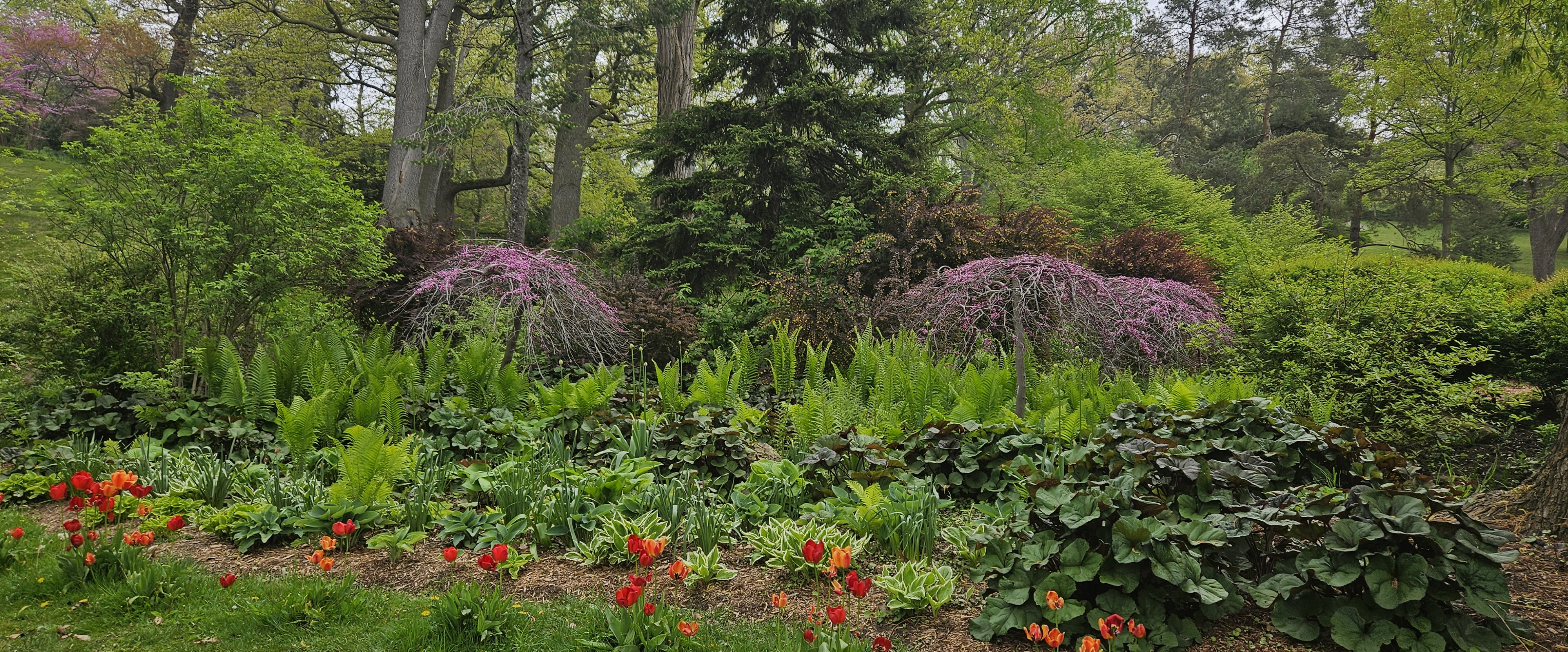 challenge background