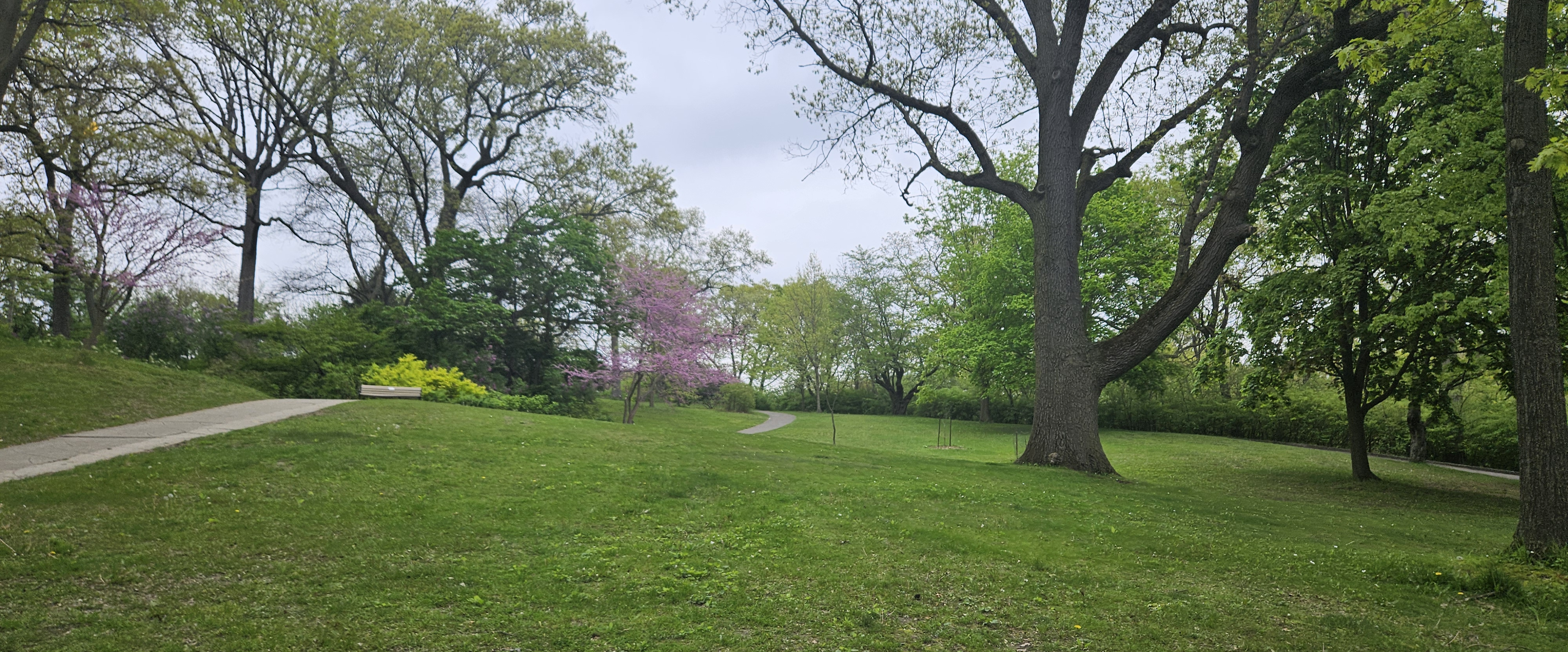 challenge background