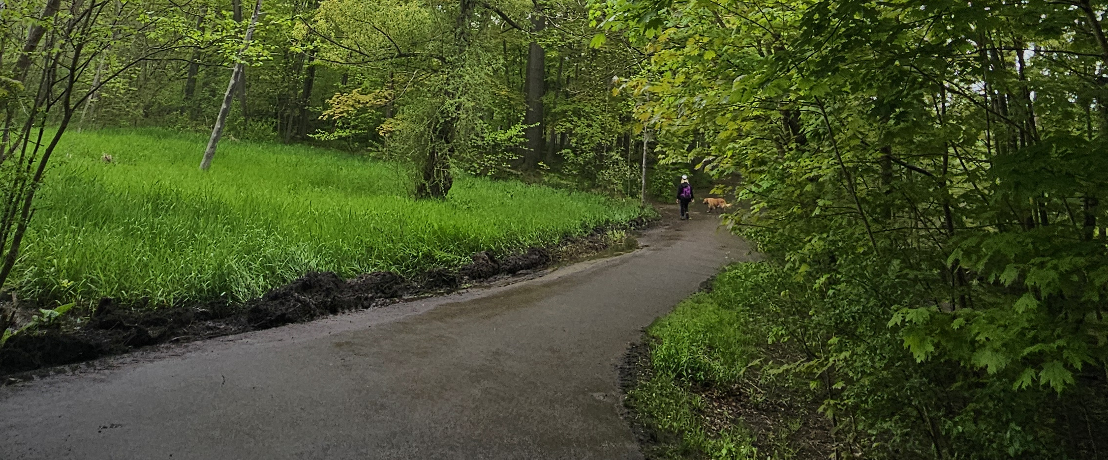 challenge background