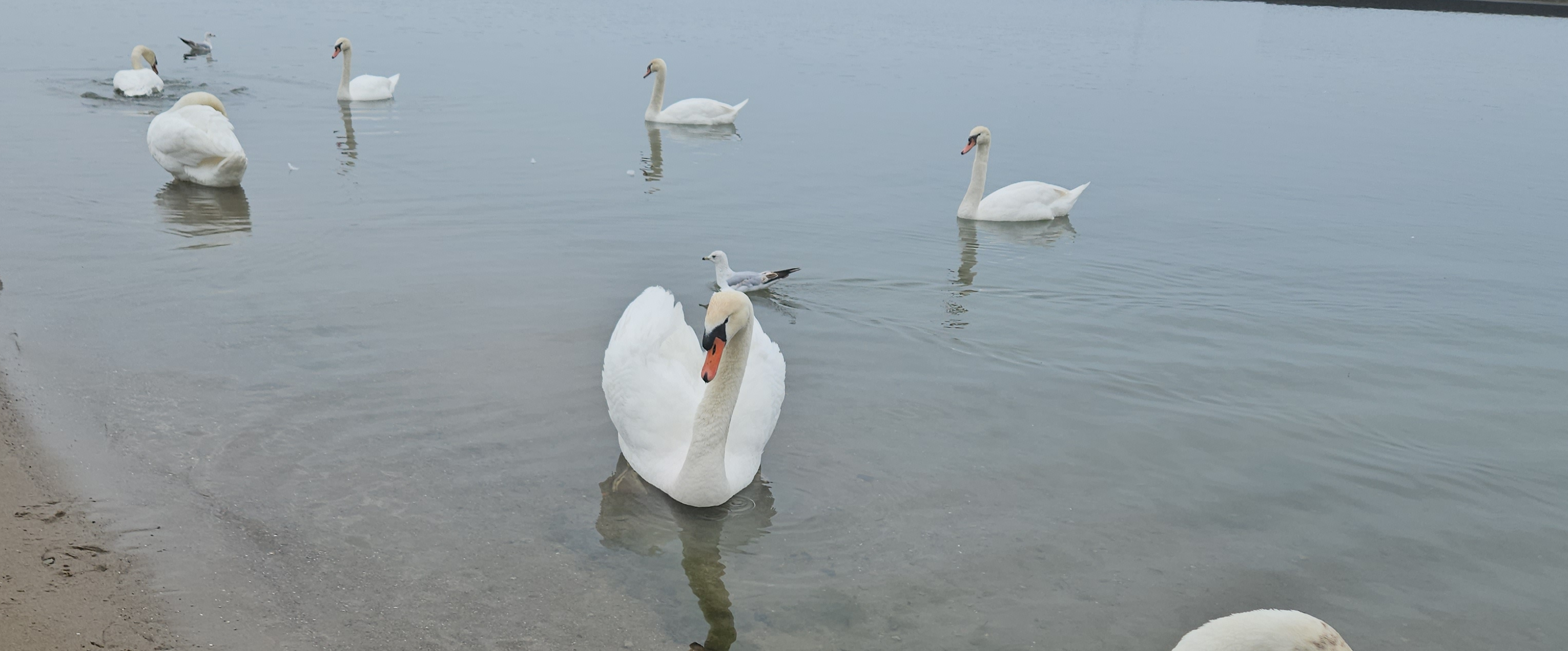 challenge background