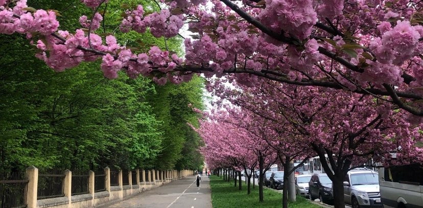 challenge background