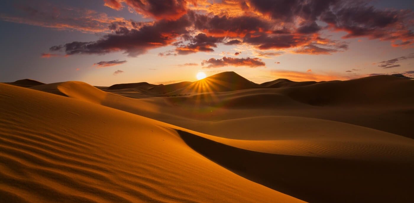 Sahara Desert 🏜️ 🌵🐪 logo
