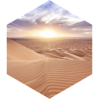 Sahara Desert 🏜️ 🌵🐪 icon