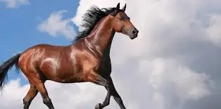 challenge background