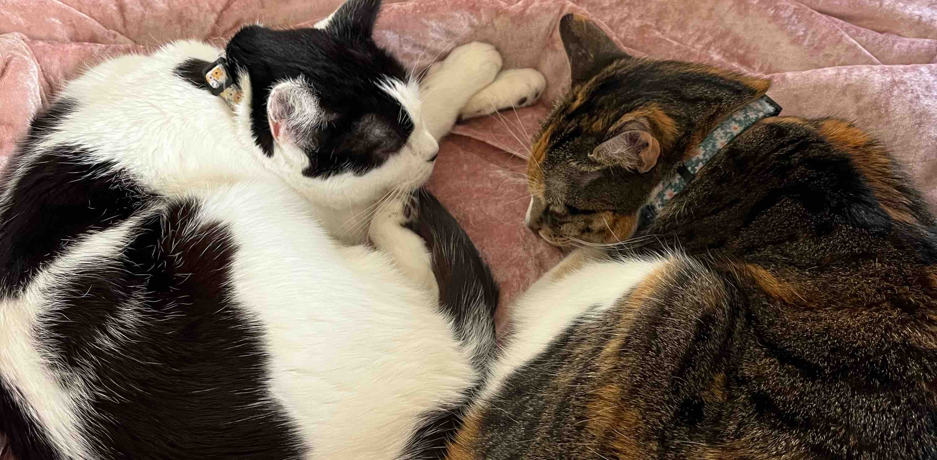 challenge background