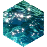 June & July Jet icon