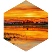 June Summer Heat icon