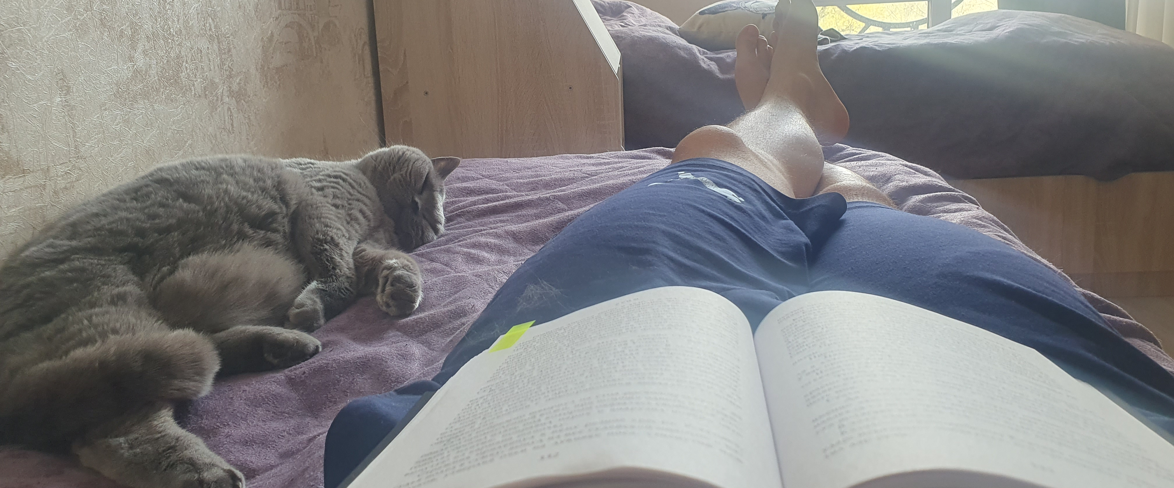 challenge background