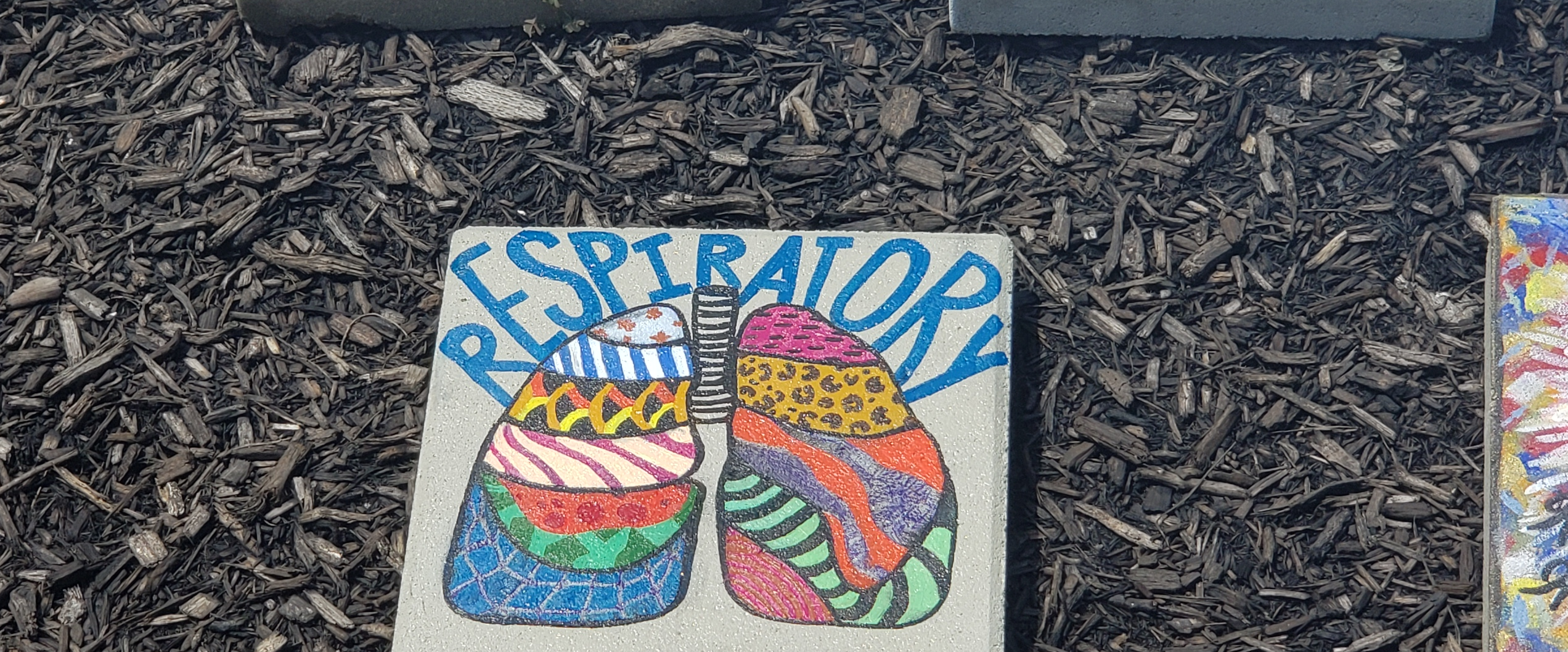 challenge background