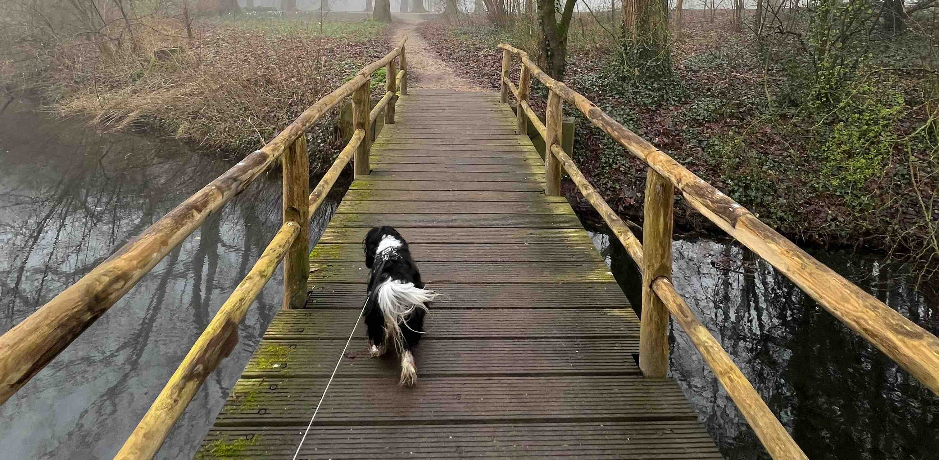 challenge background