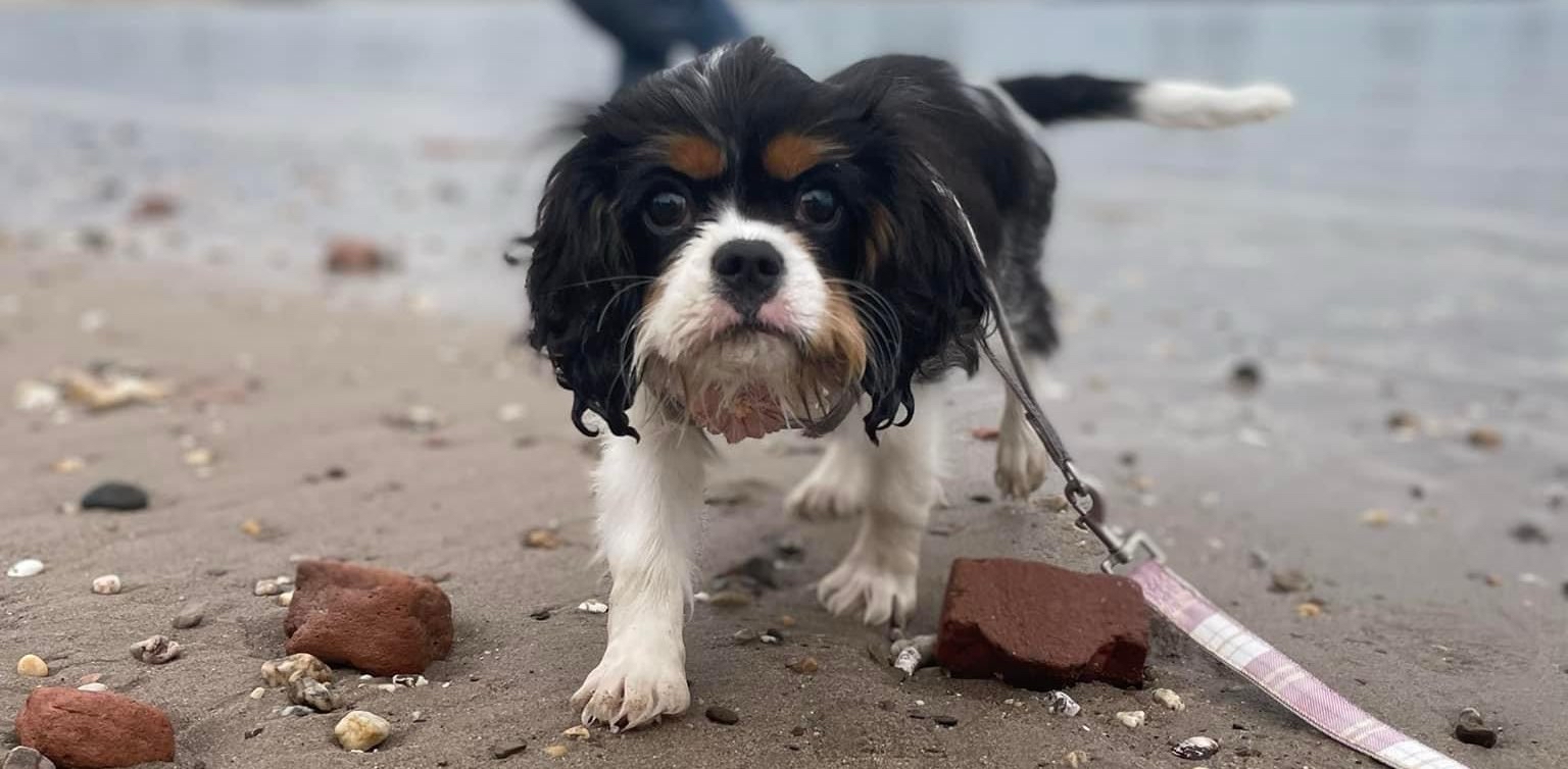 challenge background