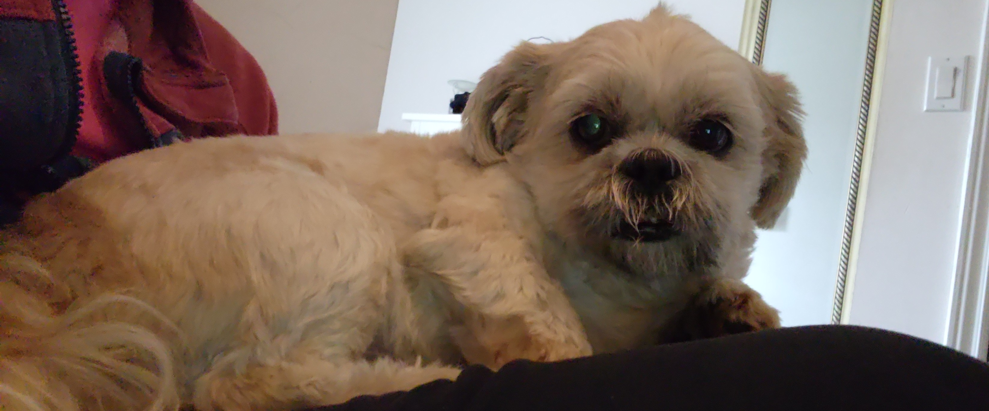 challenge background