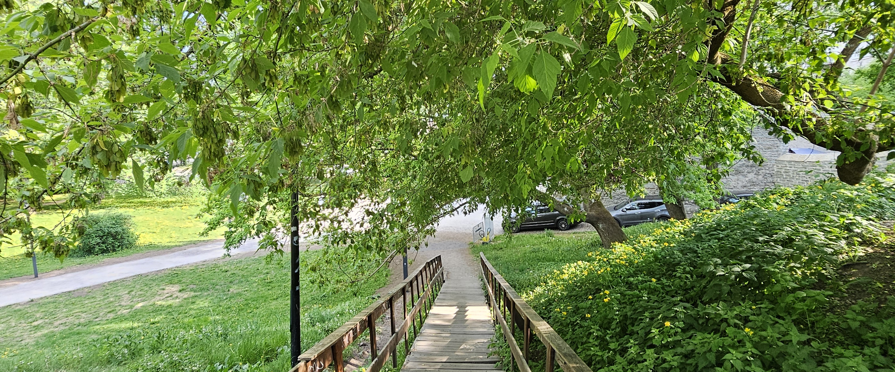 challenge background