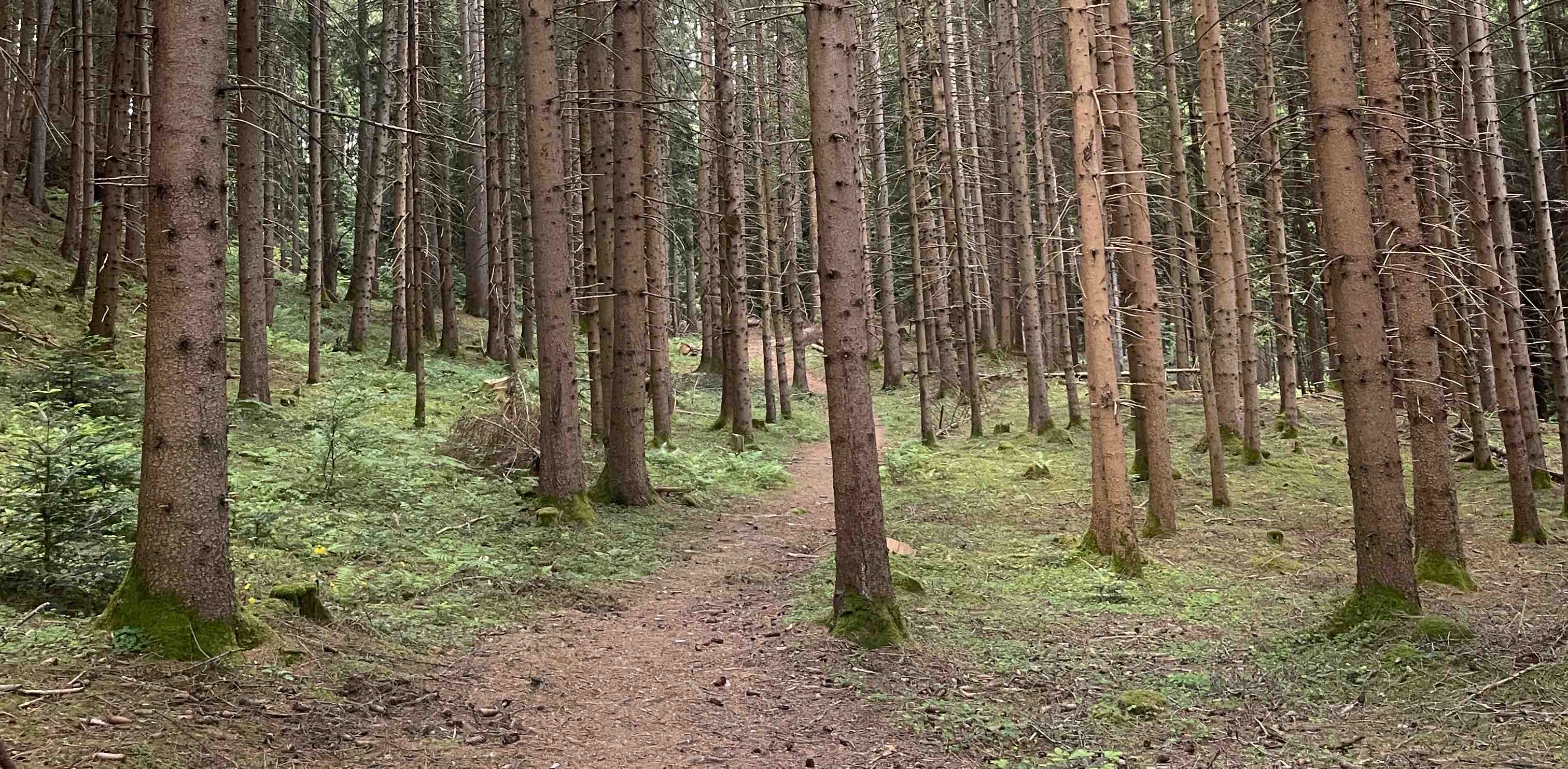 challenge background