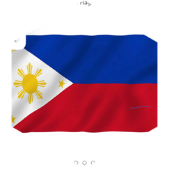 PHILIPPINES icon
