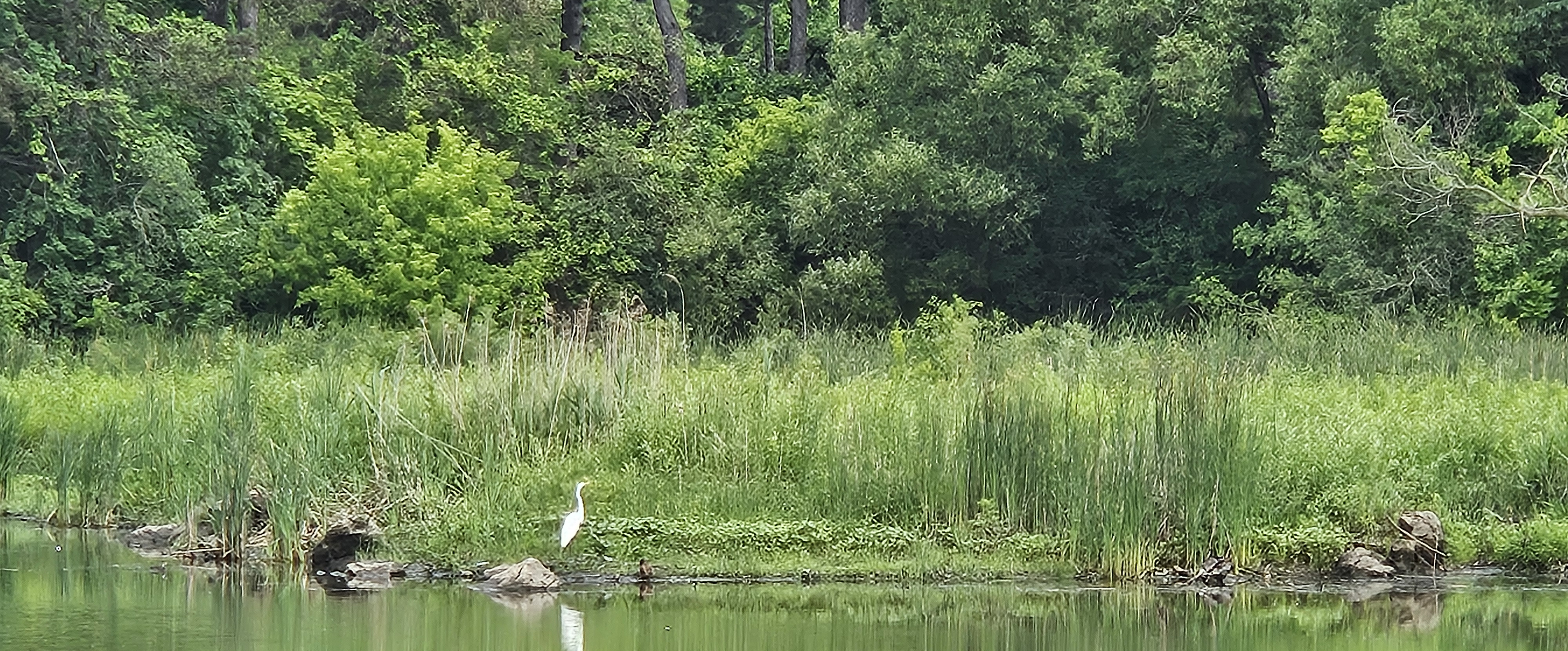 challenge background