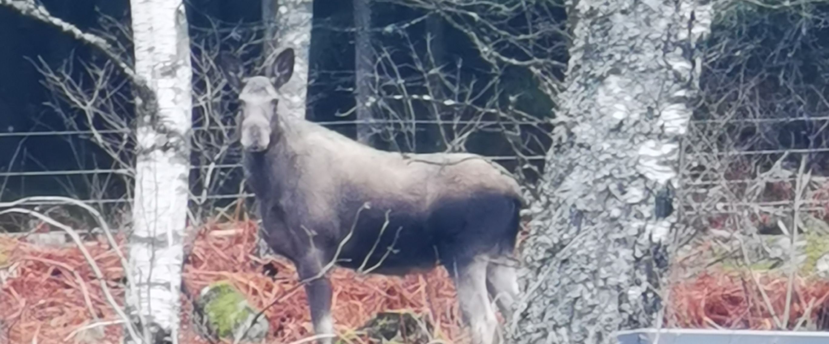 challenge background