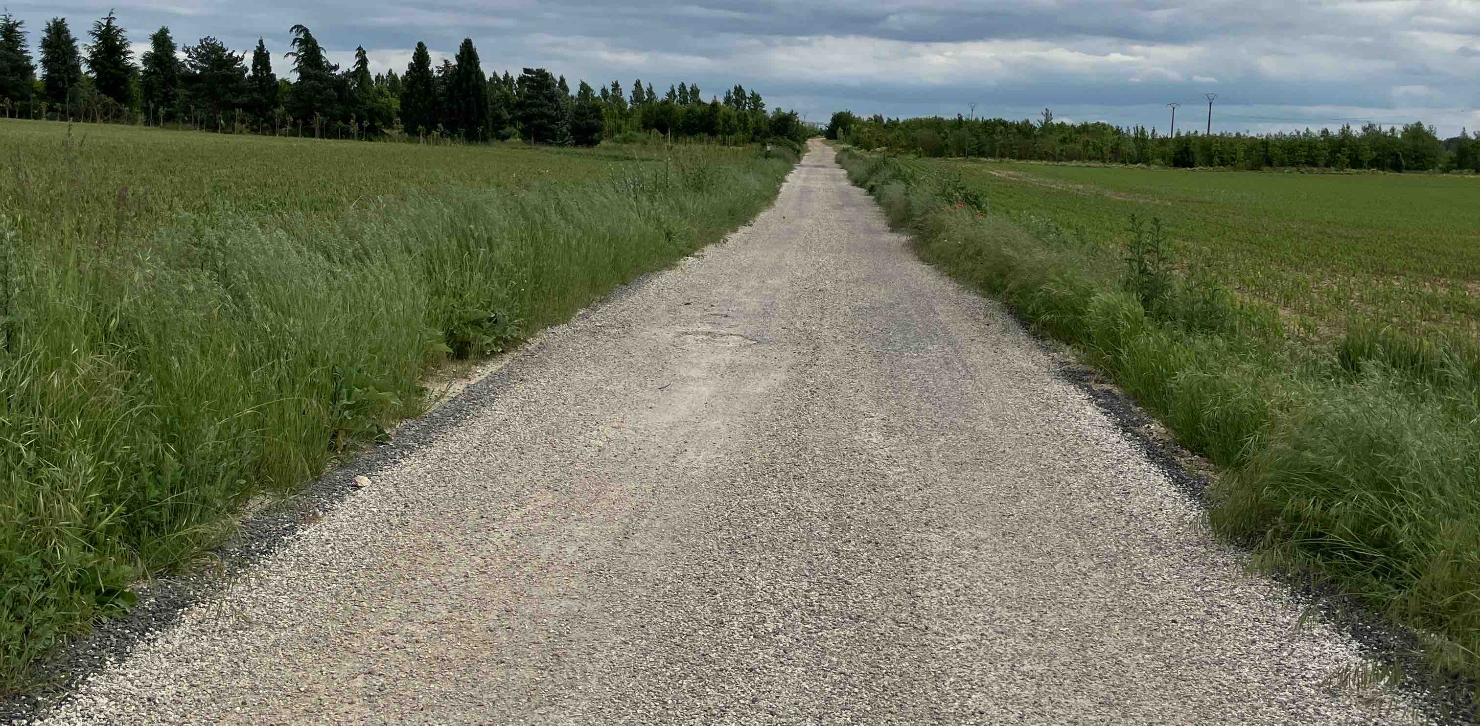 🙀😳 ❗️À Pied 🚳 logo