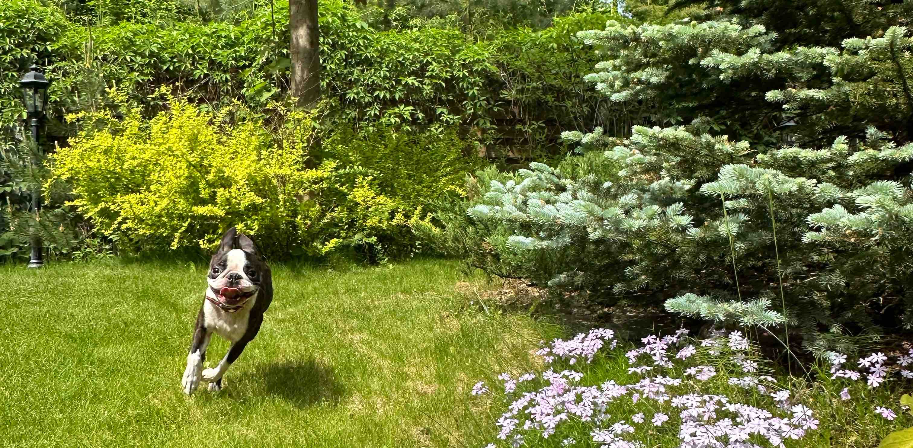 challenge background