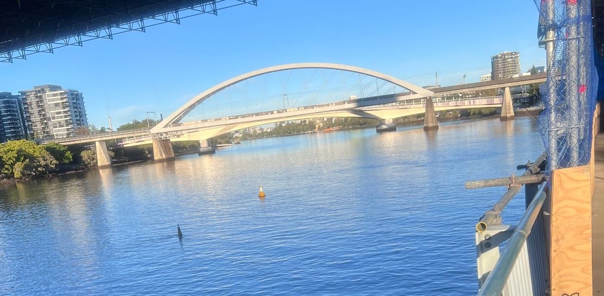 challenge background