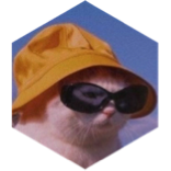 Catmazing Summer ๐๐งกโ๏ธโฑ๏ธ๐ถ๏ธ icon