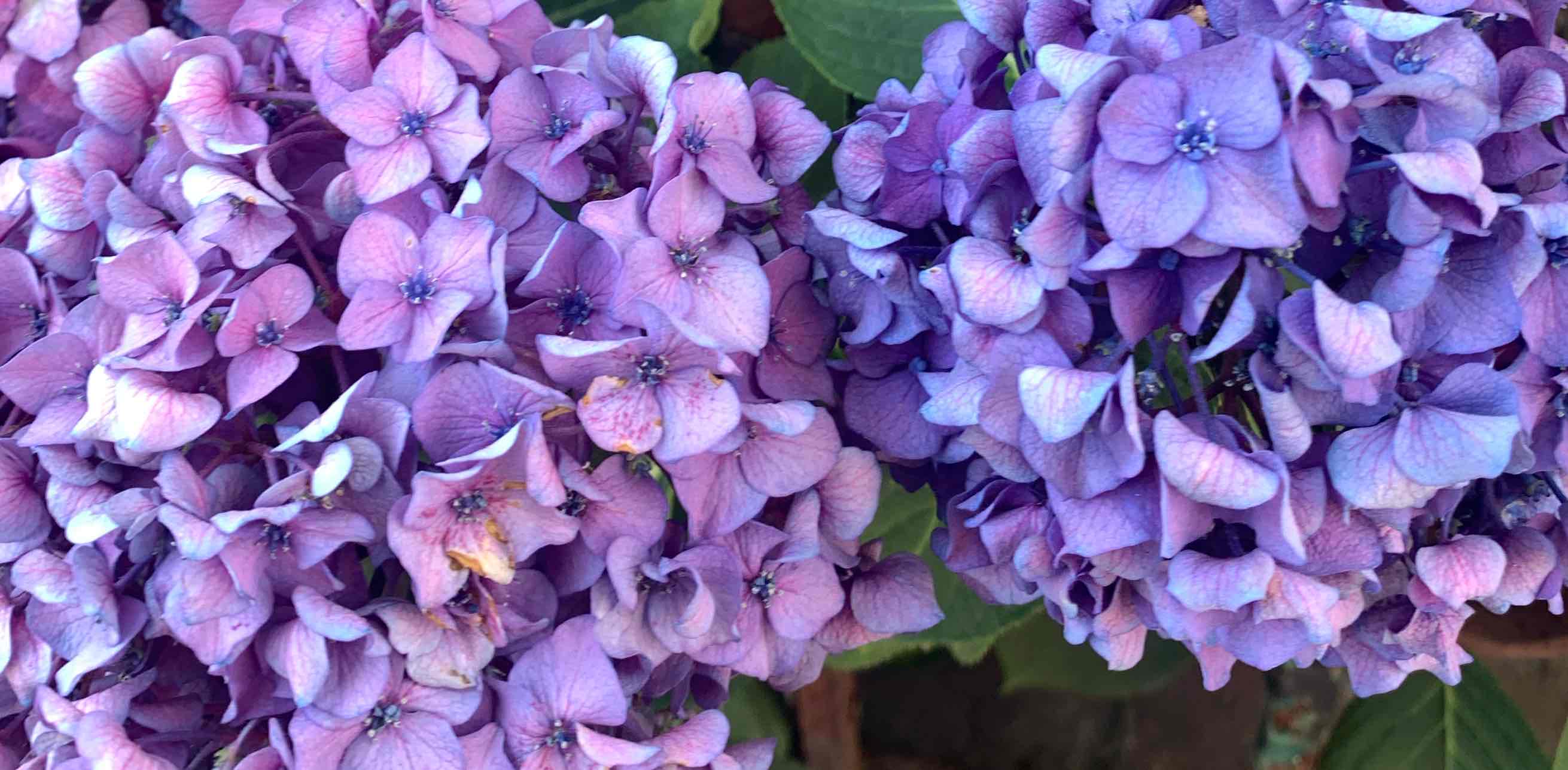 challenge background