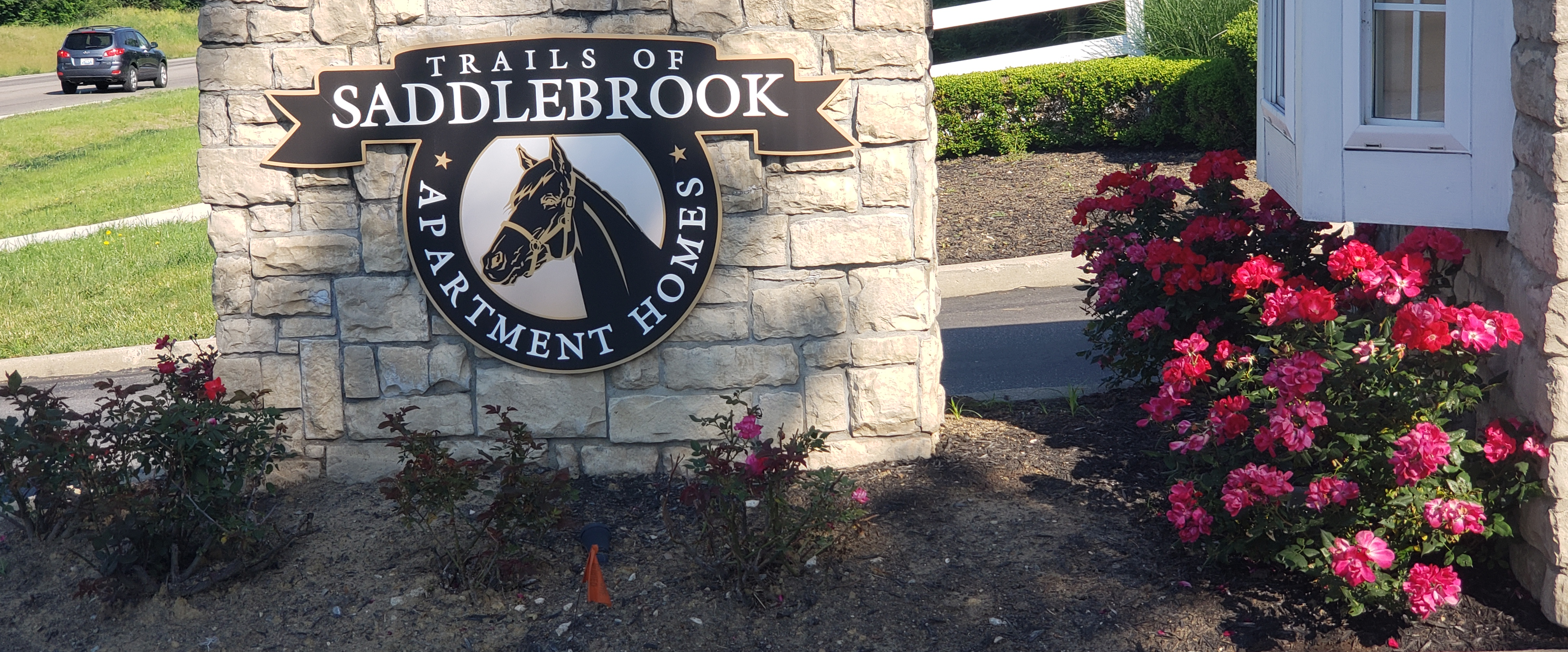 challenge background