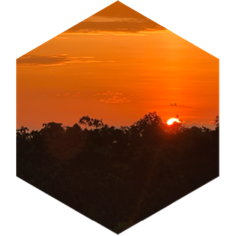 challenge badge