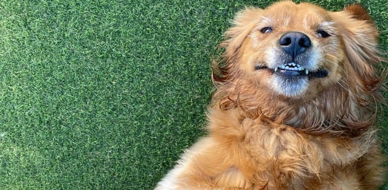 challenge background