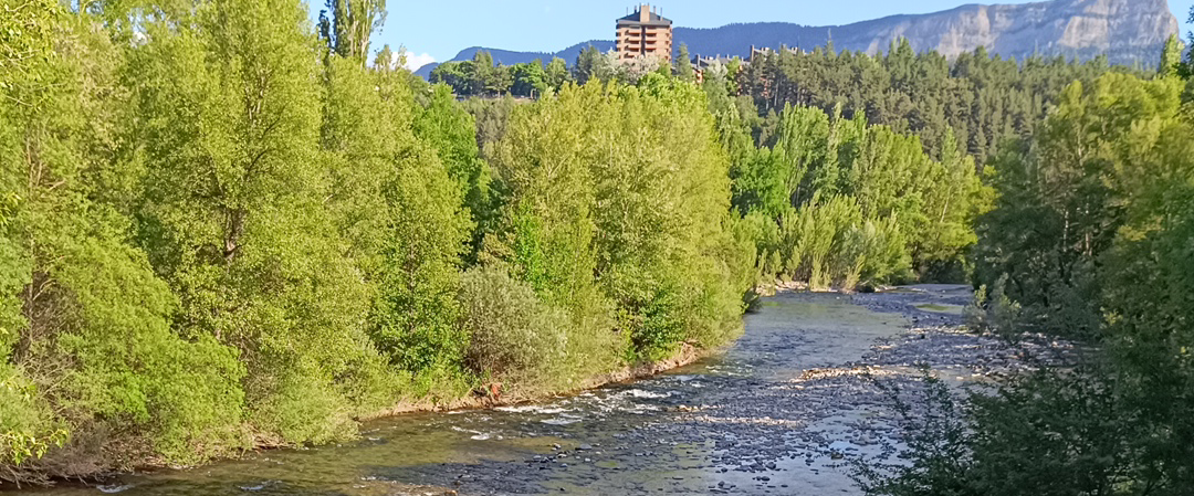 challenge background