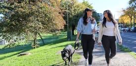 challenge background