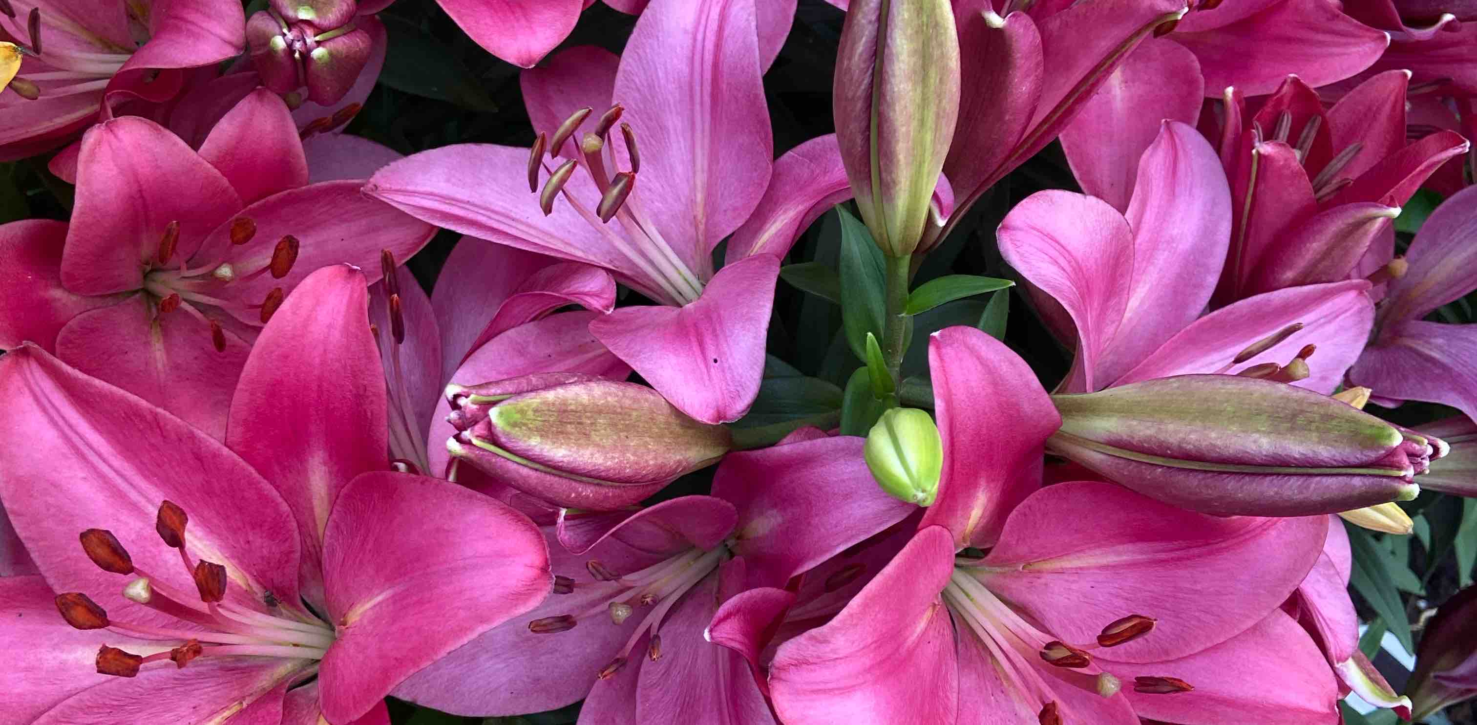 challenge background