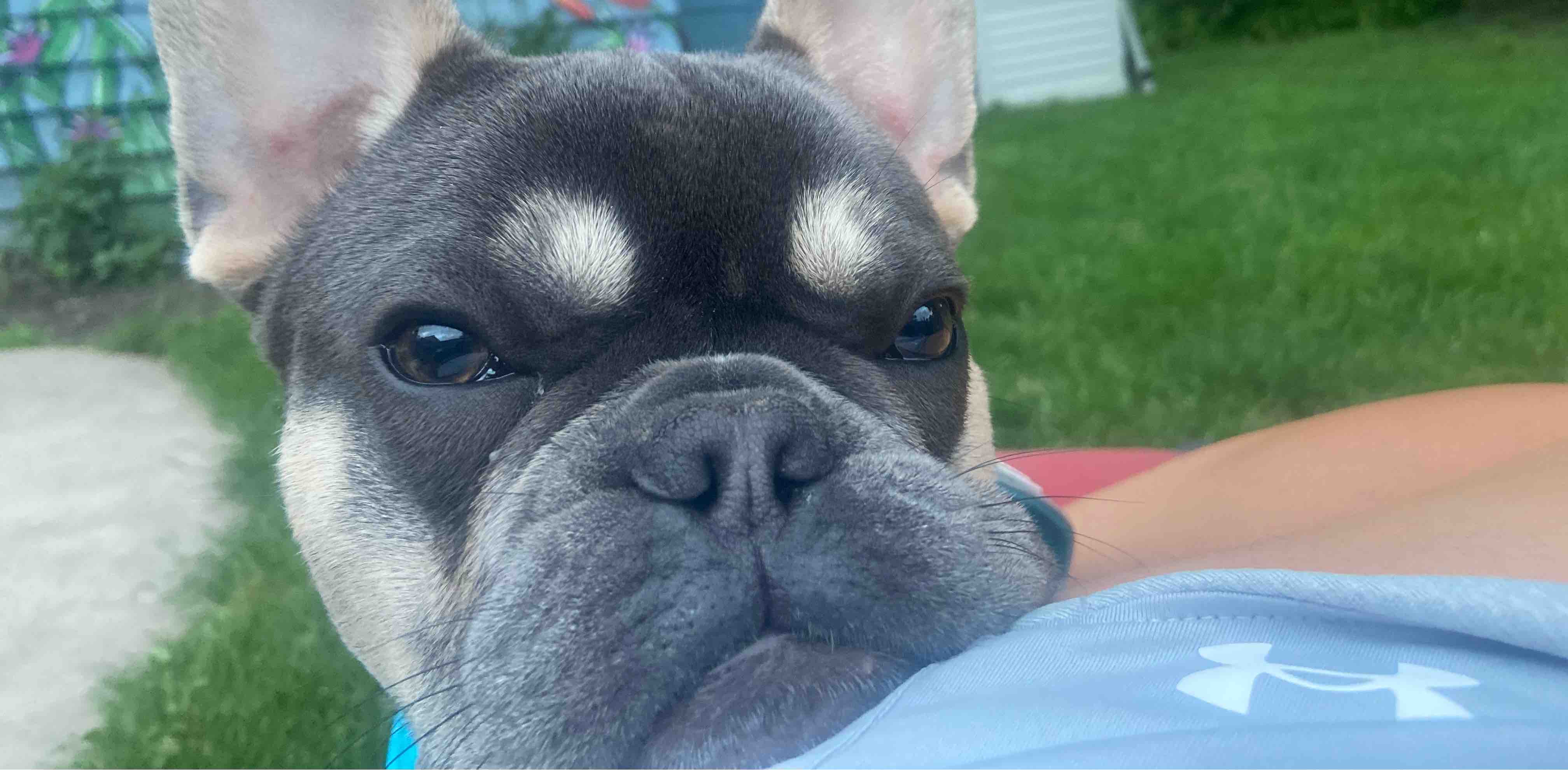 challenge background