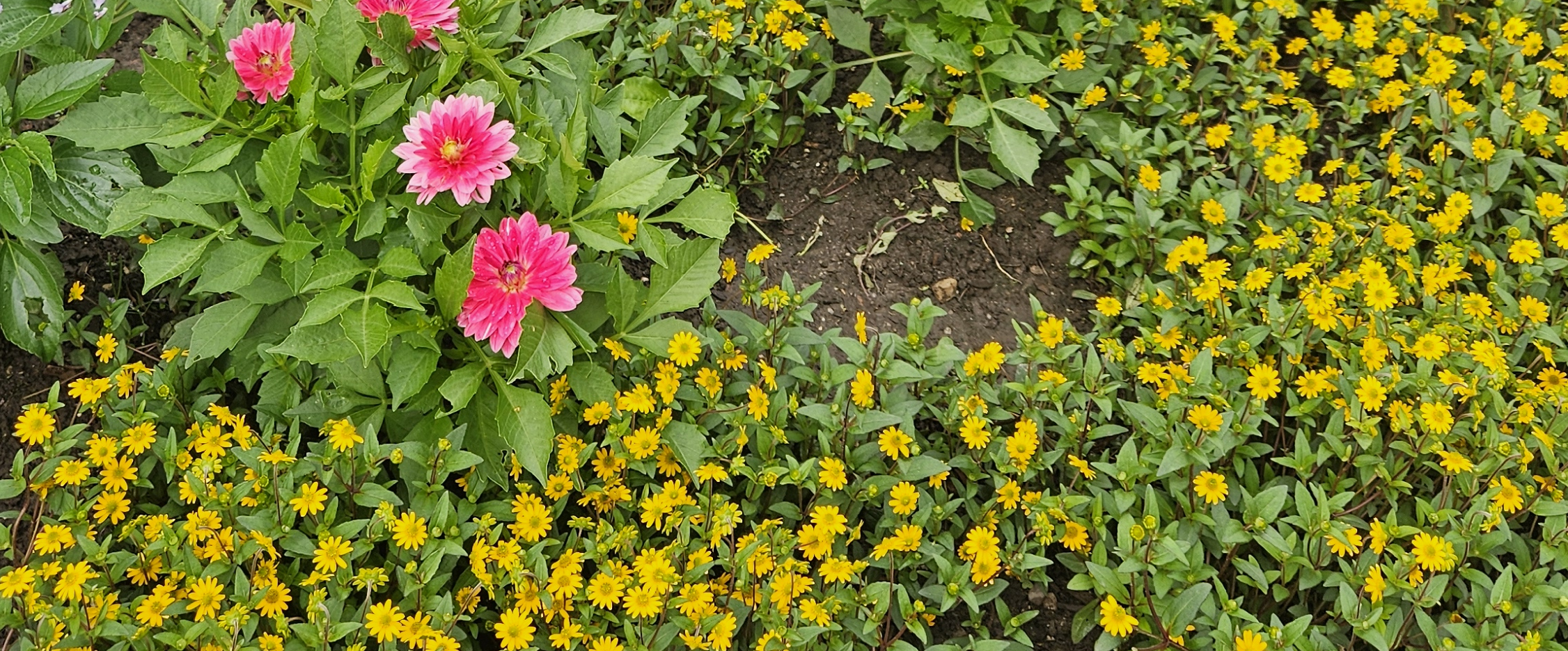 challenge background