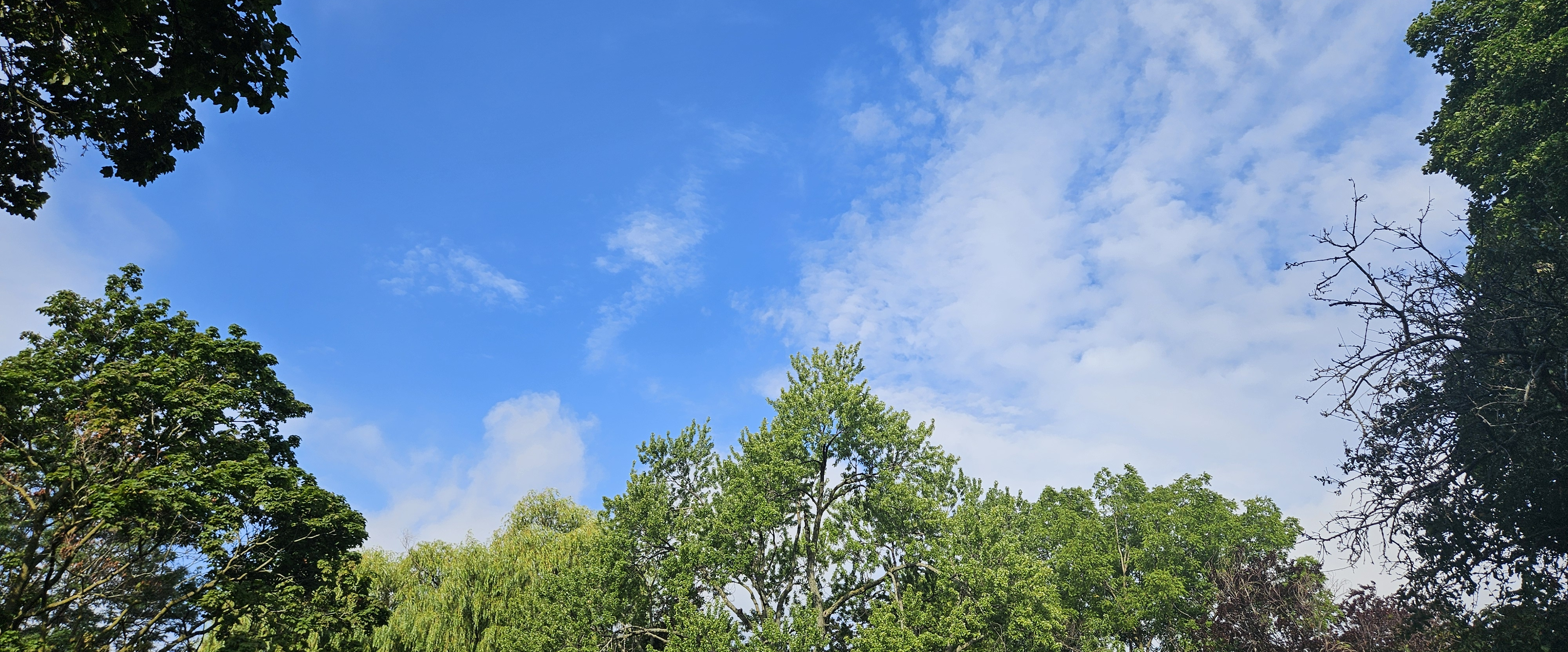 challenge background