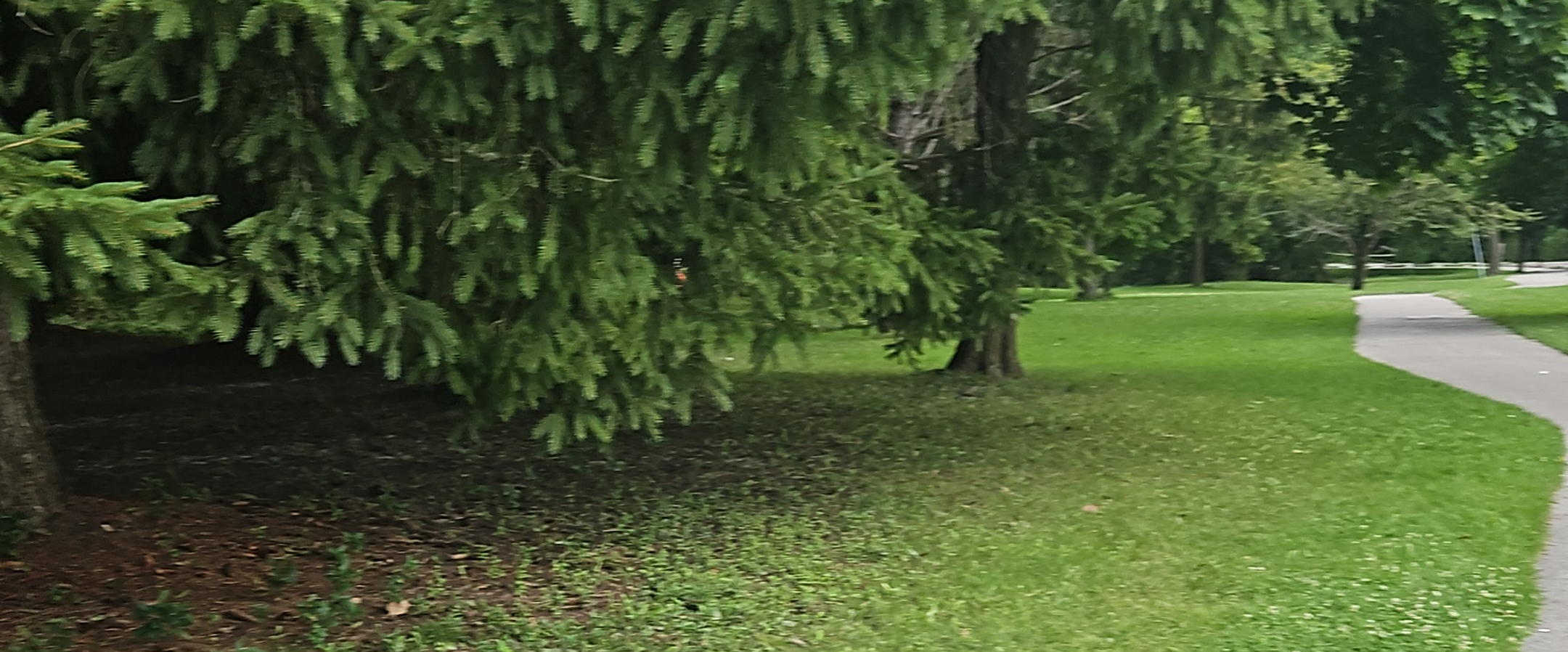 challenge background