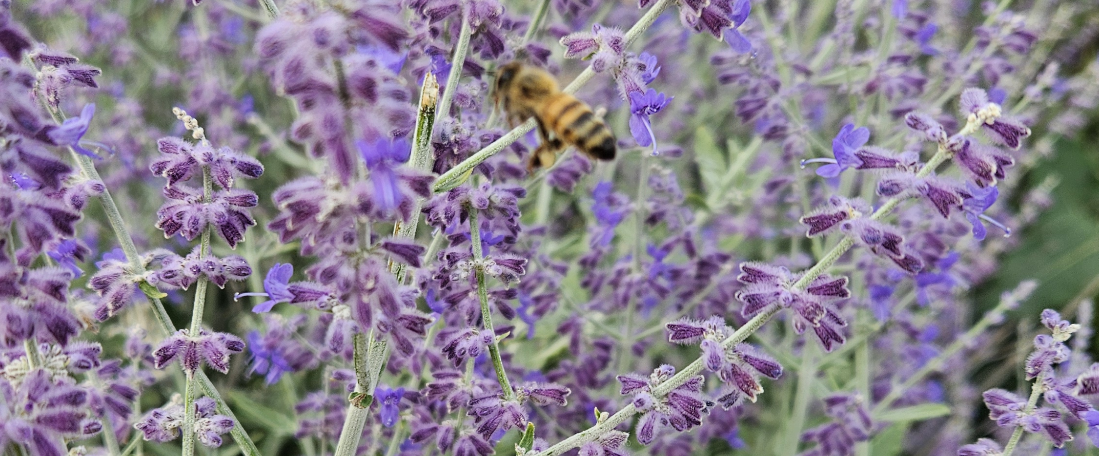 challenge background